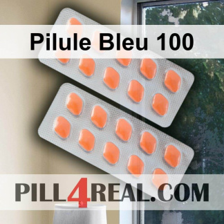 Pilule Bleu 100 848