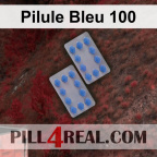 Pilule Bleu 100 904