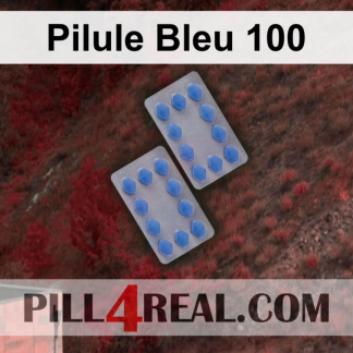 Pilule Bleu 100 904