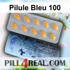 Pilule Bleu 100 919
