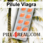 Pilule Viagra 316