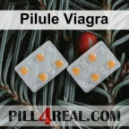 Pilule Viagra 501