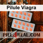 Pilule Viagra 990
