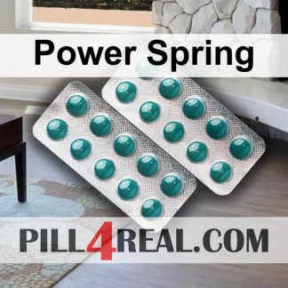Power Spring 133