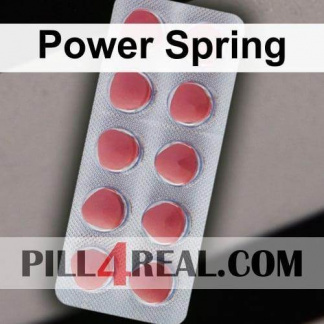 Power Spring 333