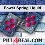 Power Spring Liquid 873