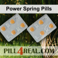 Power Spring Pills 575