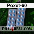 Poxet-60 163