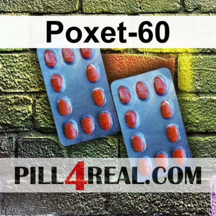 Poxet-60 576