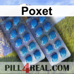 Poxet 066