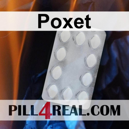 Poxet 542