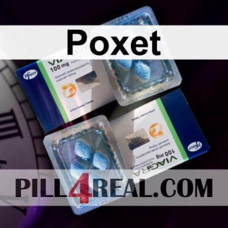 Poxet 804