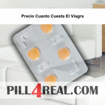 Precio Cuanto Cuesta El Viagra 356