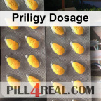 Priligy Dosage 911