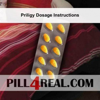 Priligy Dosage Instructions 120