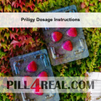 Priligy Dosage Instructions 215