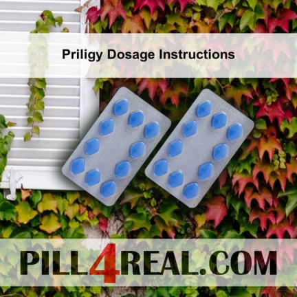 Priligy Dosage Instructions 377