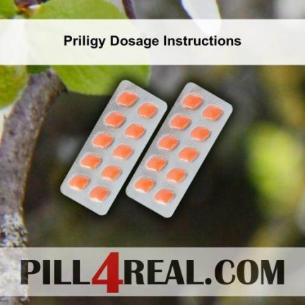 Priligy Dosage Instructions 536