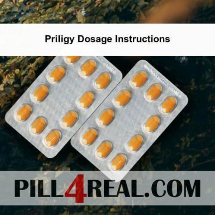 Priligy Dosage Instructions 571