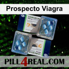 Prospecto Viagra 088
