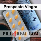 Prospecto Viagra 291