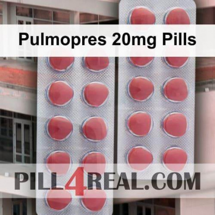 Pulmopres 20mg Pills 349