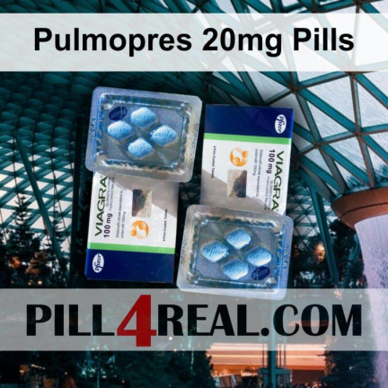 Pulmopres 20mg Pills 429