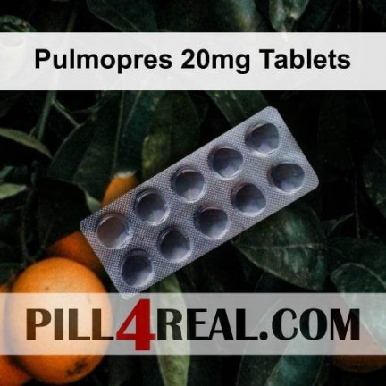 Pulmopres 20mg Tablets 440