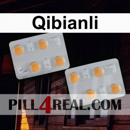 Qibianli 049