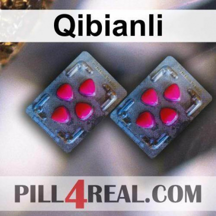 Qibianli 091
