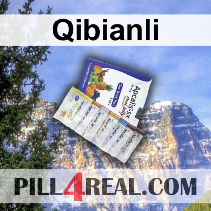 Qibianli 097