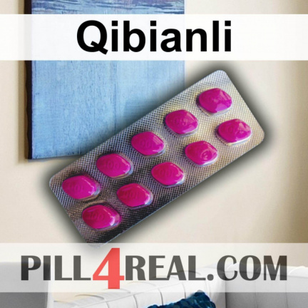 Qibianli 203