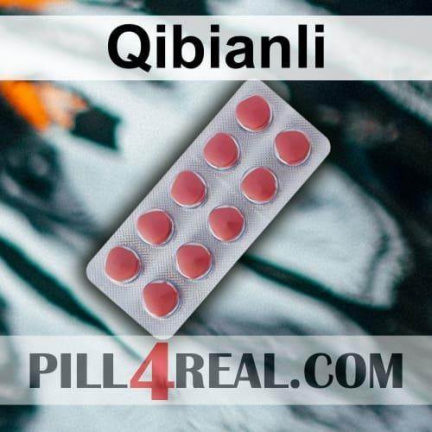 Qibianli 507