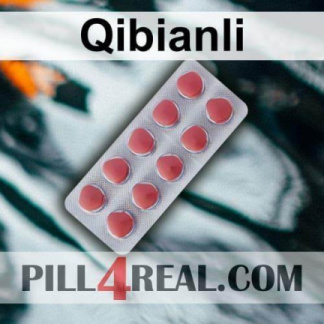 Qibianli 507