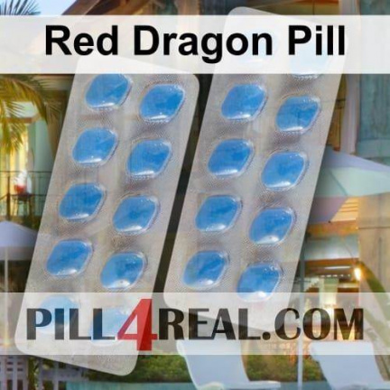Red Dragon Pill 477