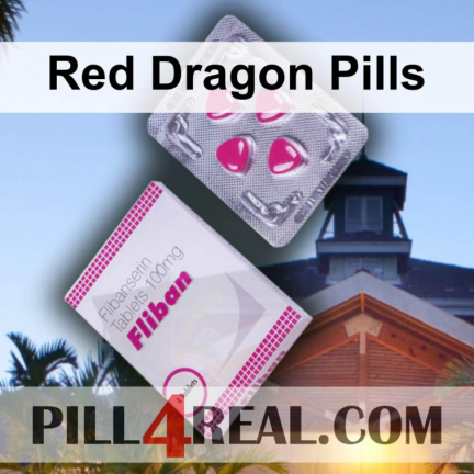 Red Dragon Pills 498