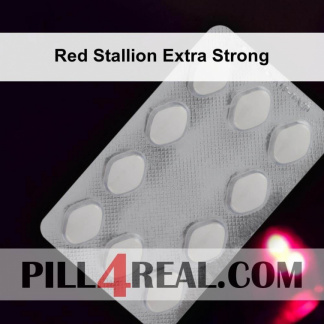 Red Stallion Extra Strong 560