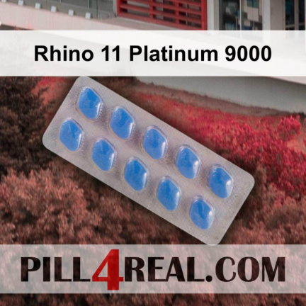 Rhino 11 Platinum 9000 444