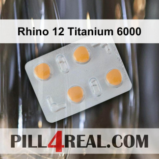 Rhino 12 Titanium 6000 342