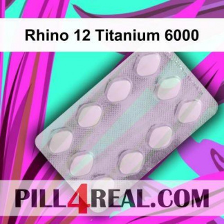 Rhino 12 Titanium 6000 902