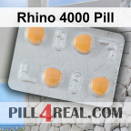 Rhino 4000 Pill 047