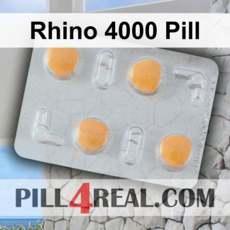 Rhino 4000 Pill 047
