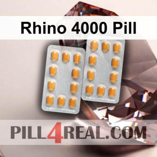 Rhino 4000 Pill 056