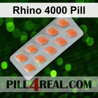 Rhino 4000 Pill 060