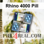 Rhino 4000 Pill 083