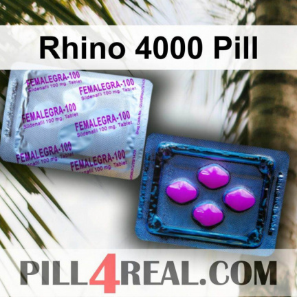 Rhino 4000 Pill 100