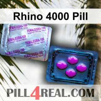 Rhino 4000 Pill 100