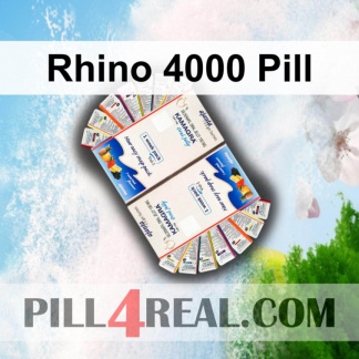 Rhino 4000 Pill 172