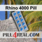Rhino 4000 Pill 177
