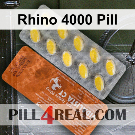 Rhino 4000 Pill 381